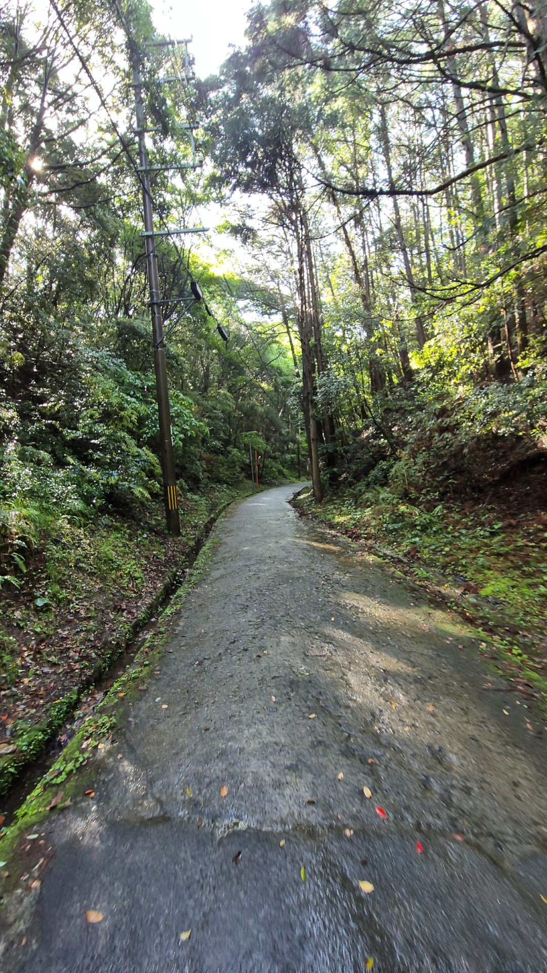 산길2